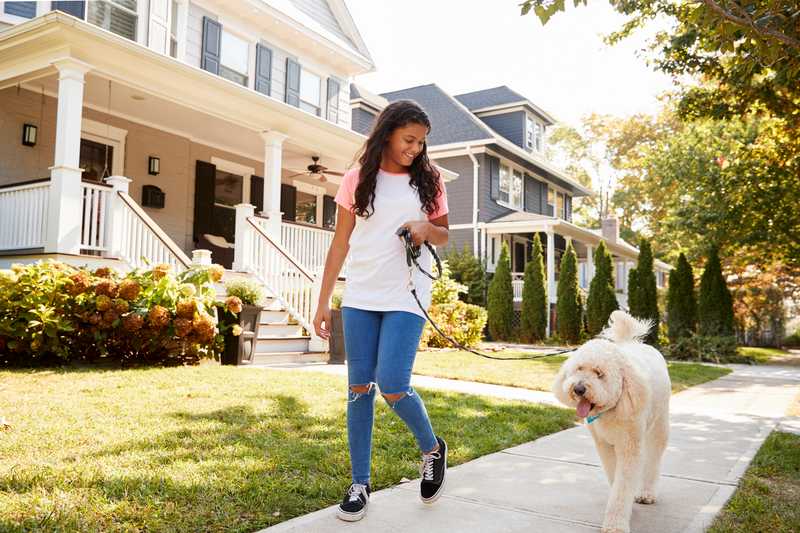 A smiling young girl walking a dog