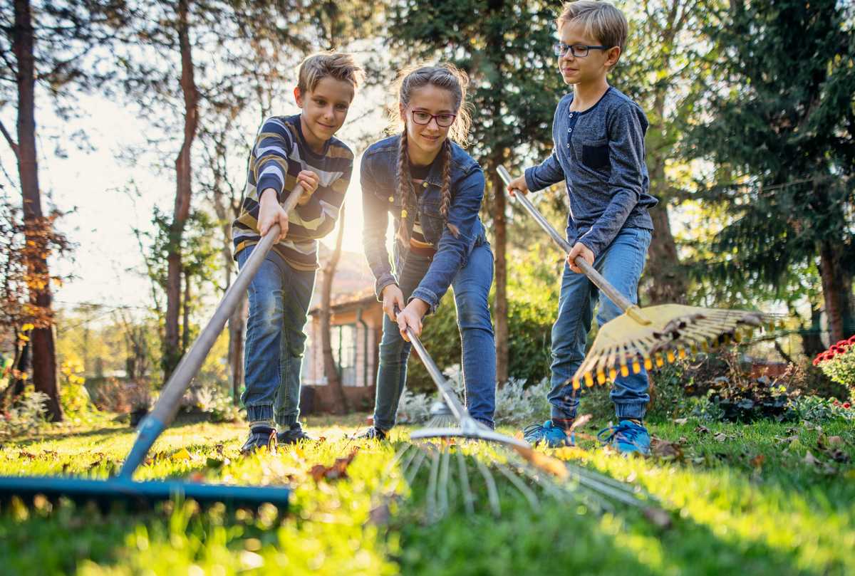 Three smiling young kids raking leaves together